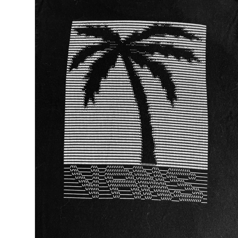 Vans Classic Fit Black Palm Tree Graphic T-Shirt Men's Small